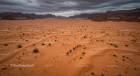 Horse Caravan Journey Across Expansive Desert Dunes