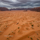 Camel Caravan Crossing Vast Orange Desert Dunes