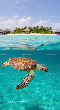 Tropical Sea Turtle Swimming Near a Paradise Island Resort