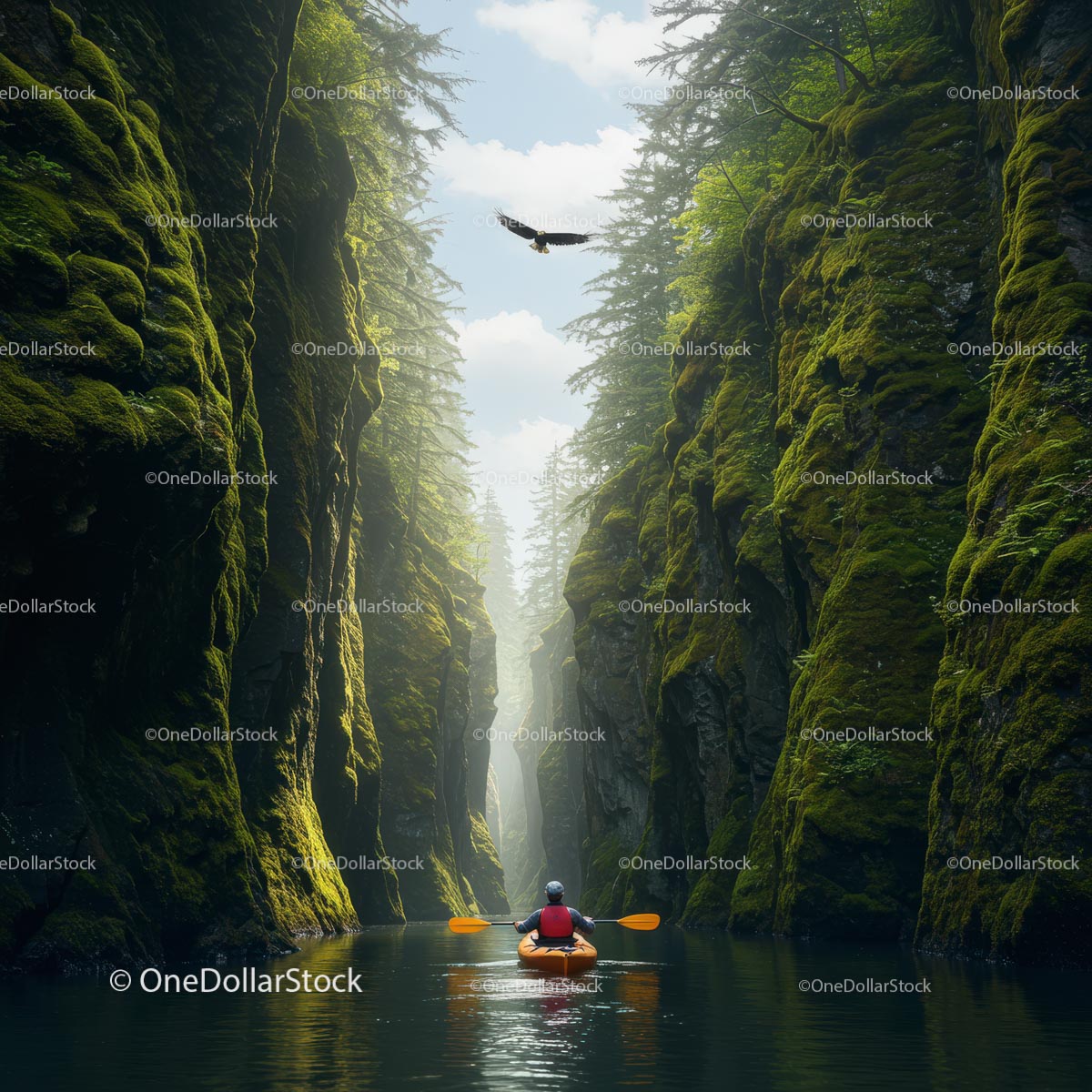 Kayaker Navigating Mossy Canyon with Soaring Eagle