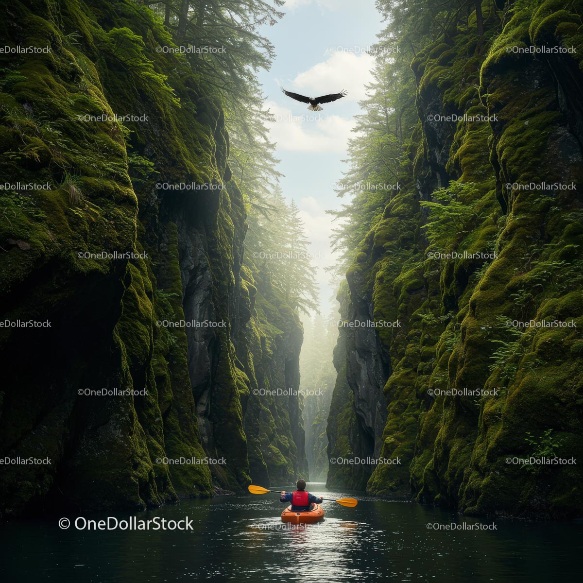 Kayaker Exploring a Breathtaking Mossy Canyon