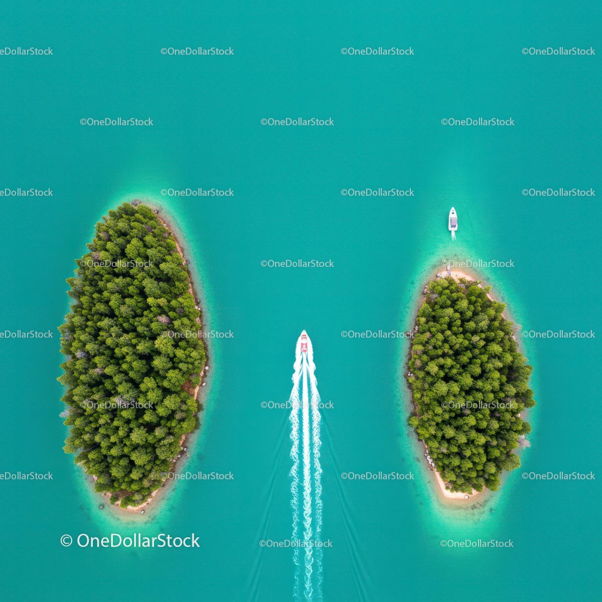 Aerial View of Speedboat Navigating Between Pine-Covered Islands