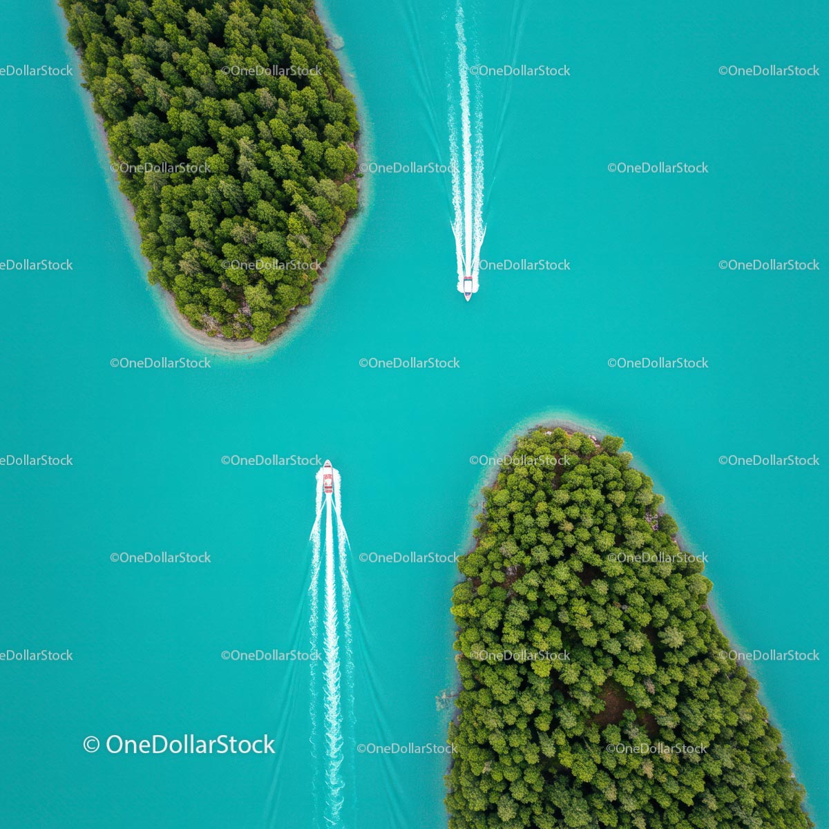 Aerial View of Speedboats Navigating Turquoise Waters