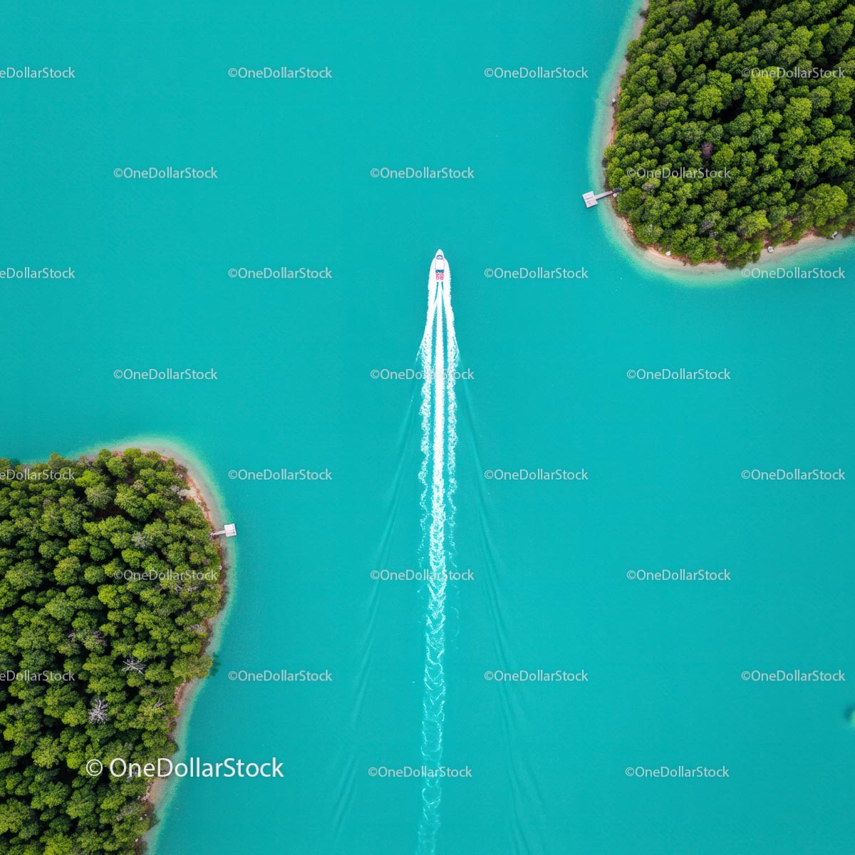 Speedboat Cutting Through Turquoise Waters Surrounded by Forest Islands