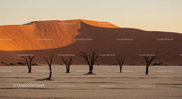Stunning Deadvlei Landscape at Sunrise with Dead Trees