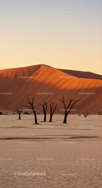 Desert Landscape with Dead Trees and Majestic Sand Dunes