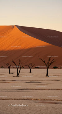 Majestic Sand Dunes with Barren Trees at Sunset