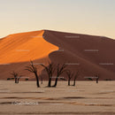 Sunrise Over Desert Dunes and Dead Trees in Namib Desert