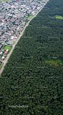 Aerial View of Forest Meeting Urban Landscape