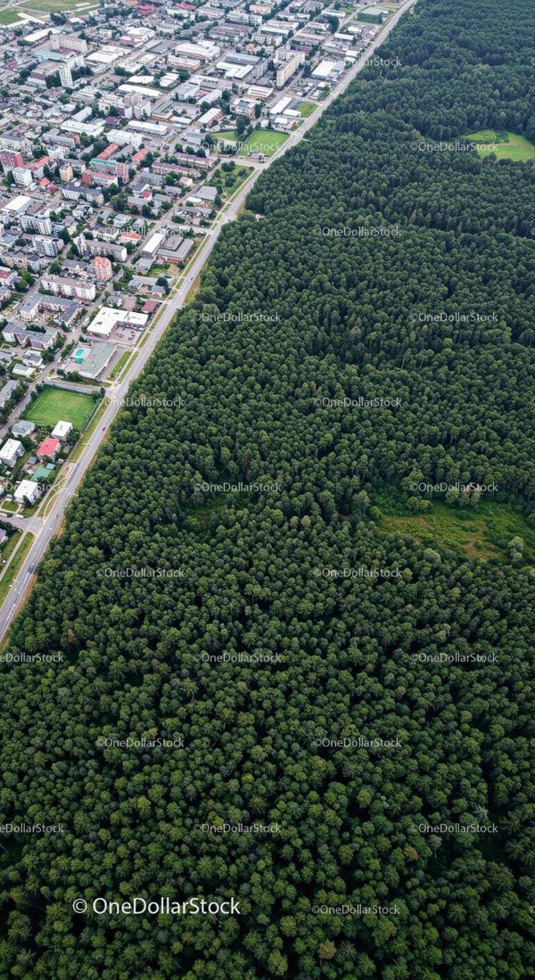 Widok z lotu ptaka na las i krajobraz miejski