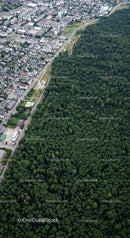 Aerial View of City Bordering Lush Green Forest