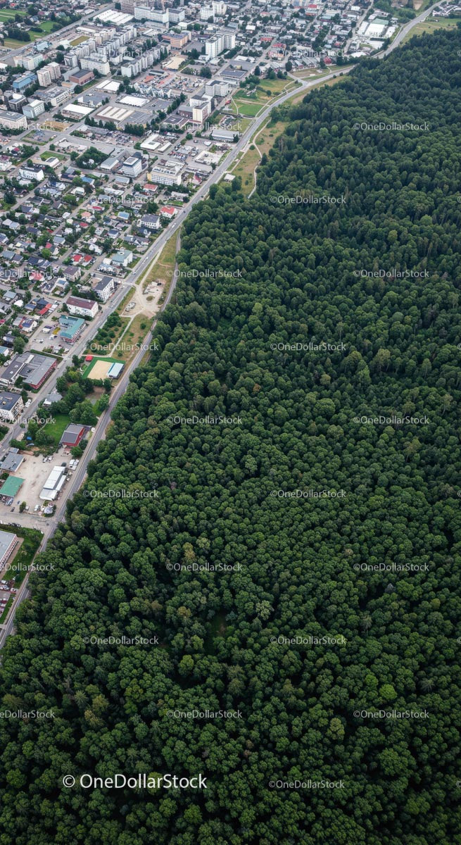 Aerial View of City Bordering Lush Green Forest
