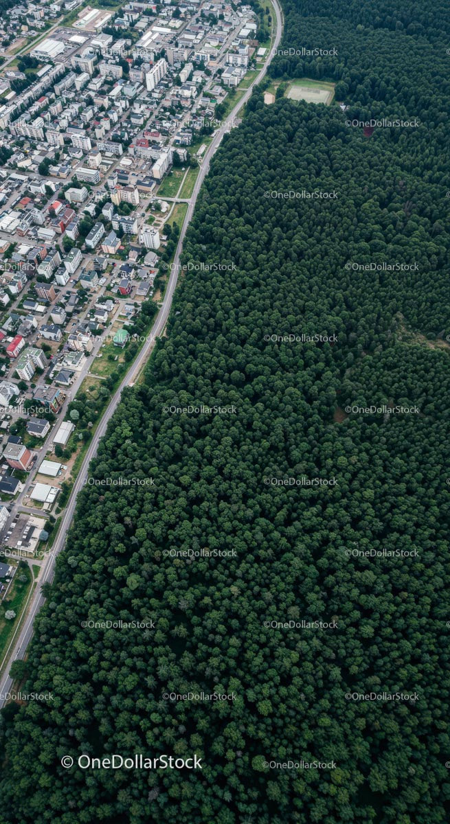 Aerial View of City and Lush Green Forest