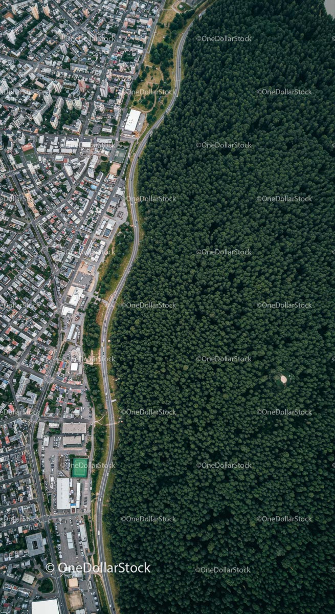 Aerial View of City and Lush Forest Boundary