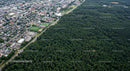 Aerial Cityscape with Expansive Forest Border