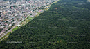 Aerial View of City Meeting a Vast Forest