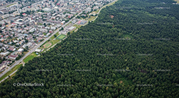 Aerial View of City Meeting a Vast Forest
