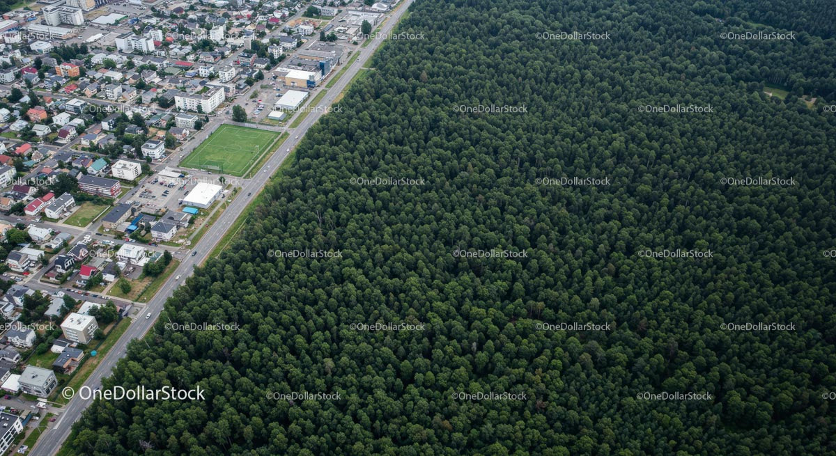 Aerial View of City Adjacent to Dense Forest