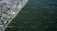 Aerial View of City Adjacent to Dense Forest