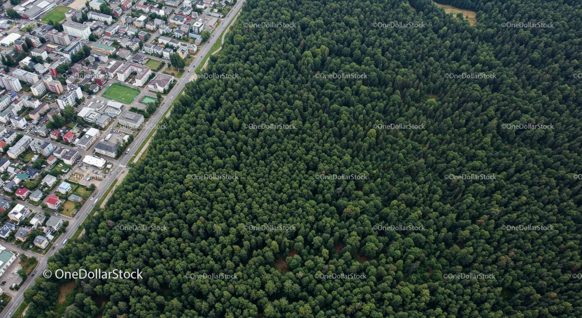 Aerial View of City and Dense Green Forest