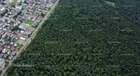 Aerial View of City and Dense Green Forest