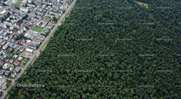 Aerial View of City and Dense Green Forest