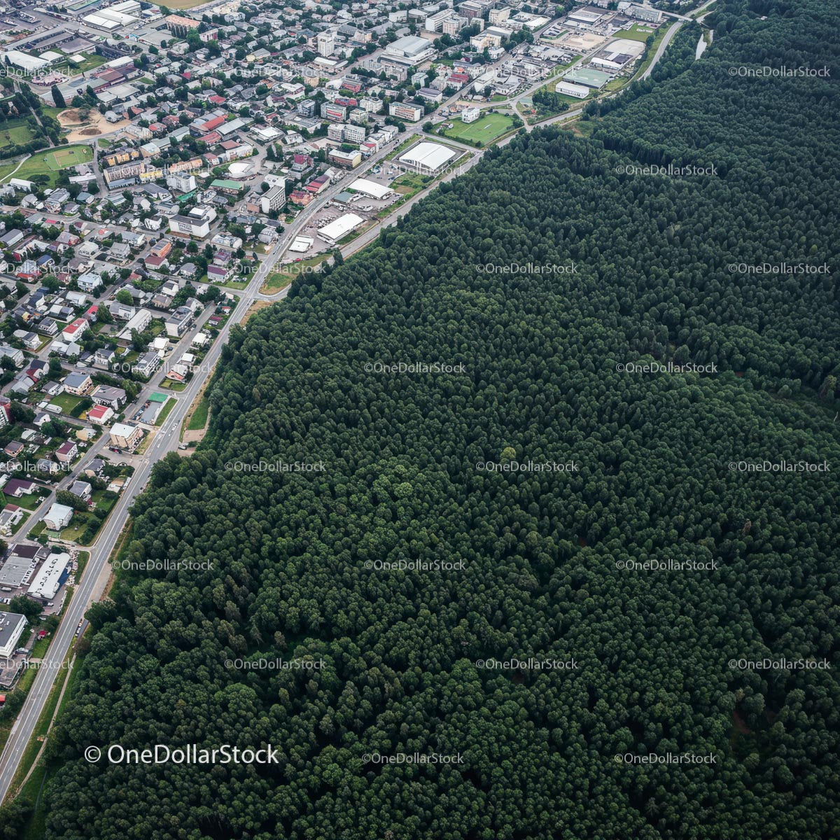 Aerial View of a City Next to a Vast Green Forest