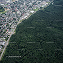 Aerial View of a City Next to a Vast Green Forest