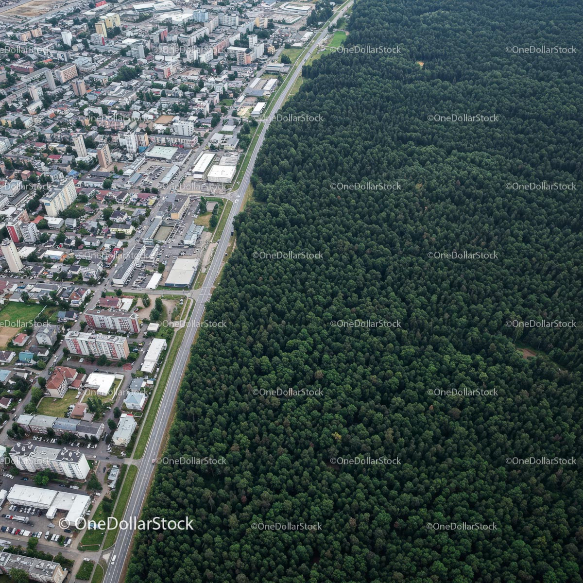 Aerial View of City Meeting Lush Green Forest