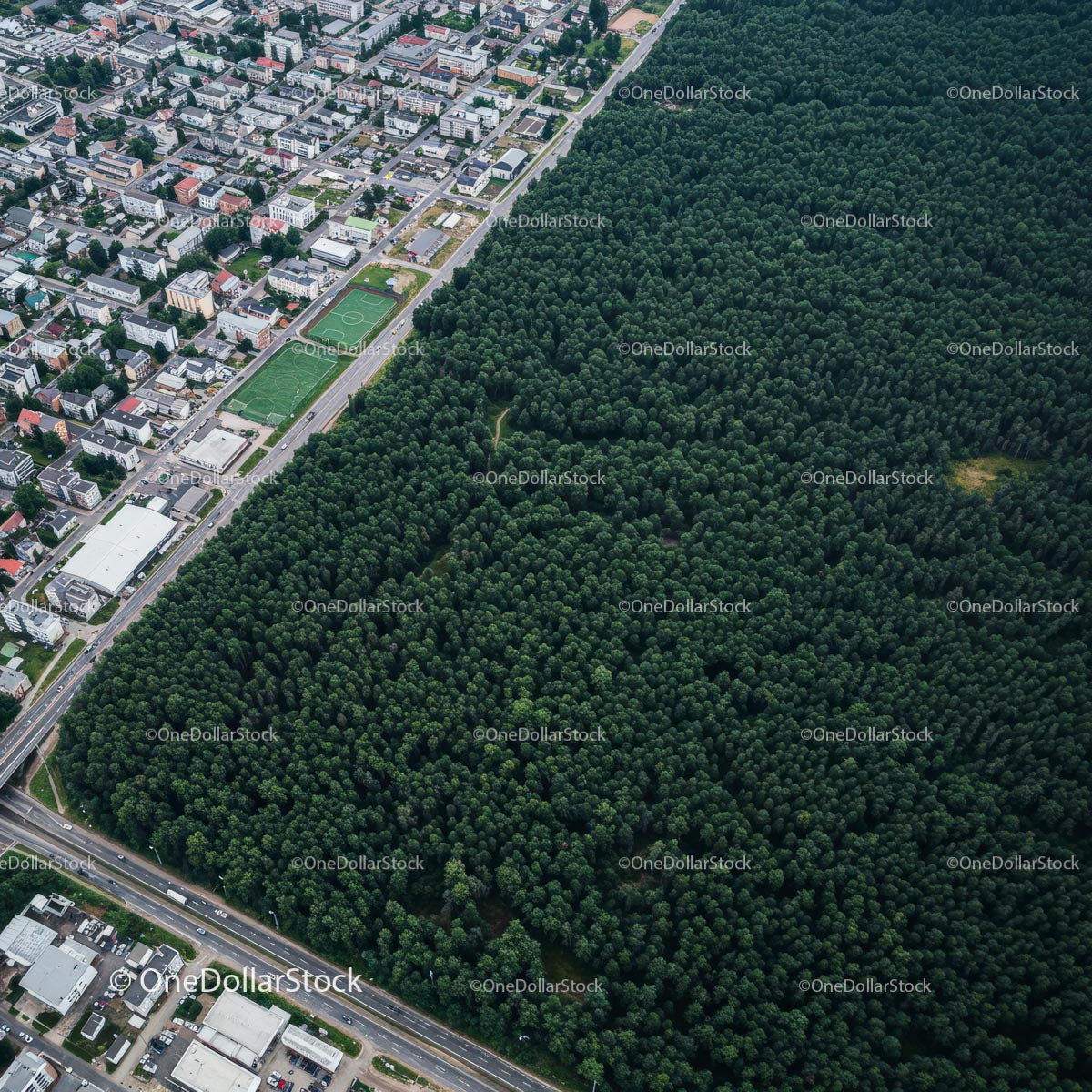 Aerial View of City and Dense Green Forest Contrast