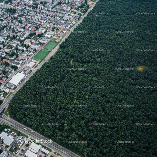 Aerial View of City and Dense Green Forest Contrast