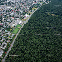 Aerial View of Forest Meeting Urban Neighborhood