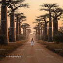 Solitary Walk Among Majestic Baobab Trees at Sunset