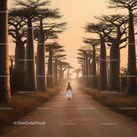 Woman Walking Along Baobab Avenue at Sunset