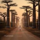 Woman Walking Along Baobab Avenue at Sunset