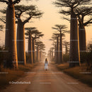 Lone Traveler Walking Amidst Majestic Baobabs at Sunset