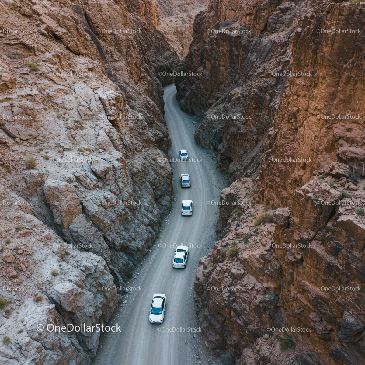 White Cars Navigating Through a Rocky Desert Canyon Road