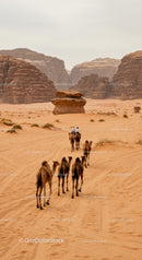 Camel Caravan Crossing Sandy Desert Landscape