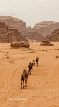Camels Journeying Through Rugged Desert Landscape