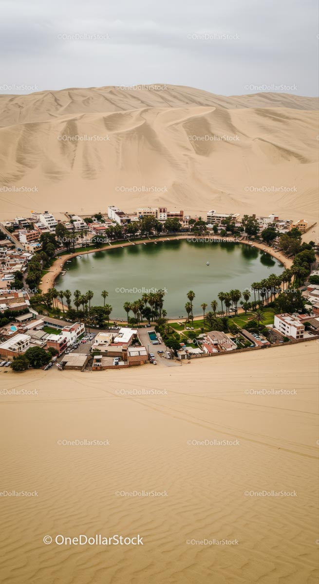Scenic Oasis Village Surrounded by Majestic Sand Dunes