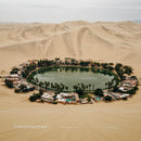Desert Oasis with Tranquil Lagoon and Palm Trees