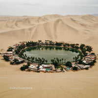 Desert Oasis with Tranquil Lagoon and Palm Trees