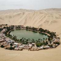 Idyllic Oasis Amidst Expansive Desert Sand Dunes
