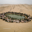 Desert Oasis with Vibrant Palm Trees and Tranquil Lake