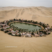 Desert Oasis with Vibrant Palm Trees and Tranquil Lake