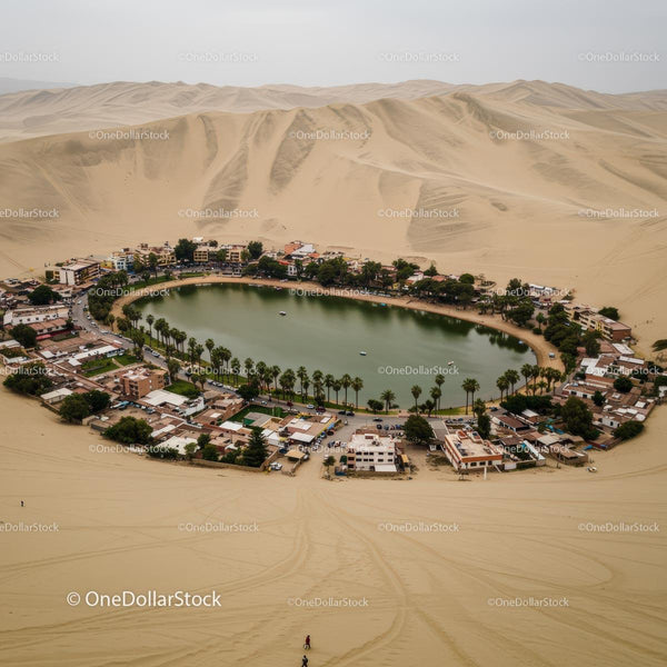 Desert Oasis with Vibrant Palm Trees and Tranquil Lake