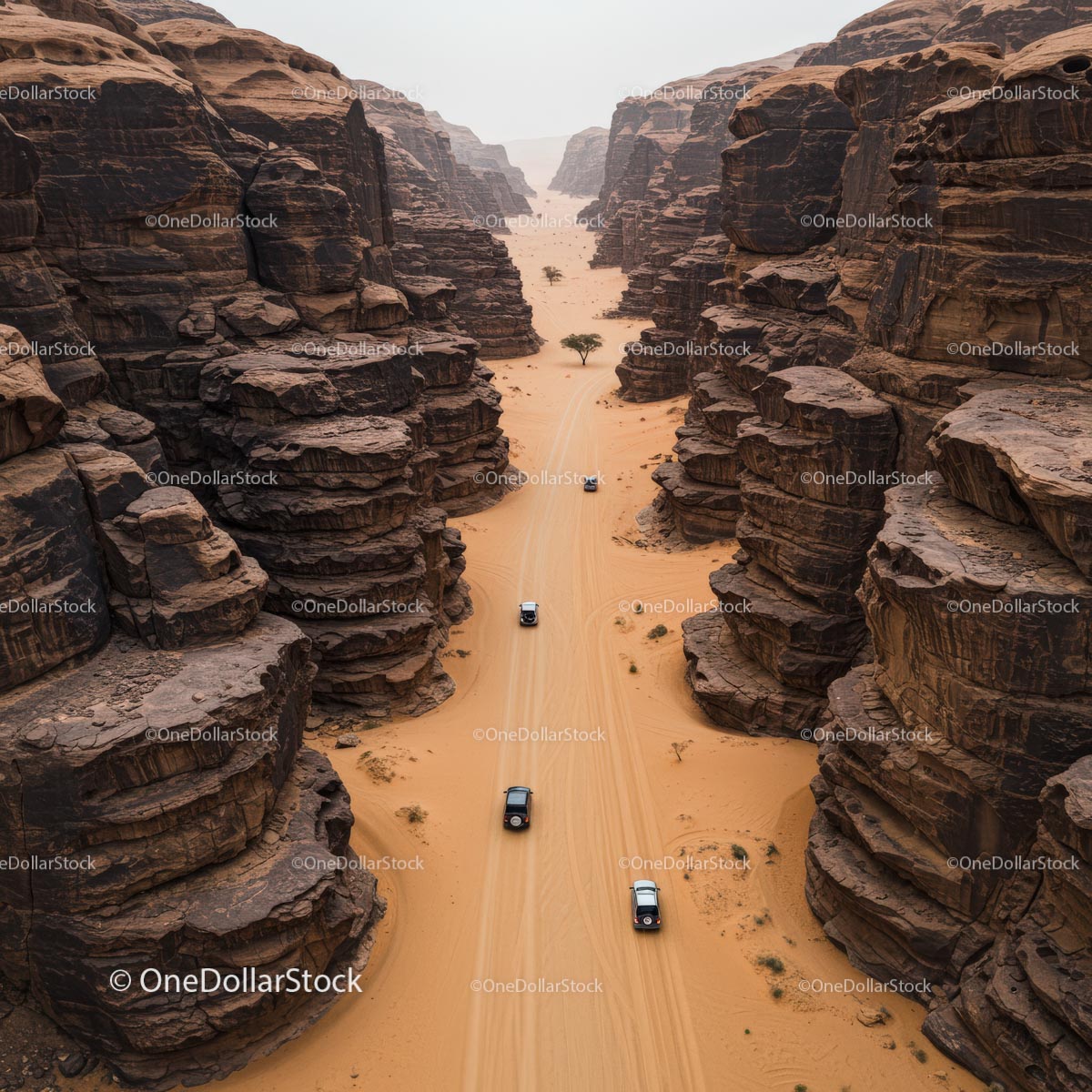 Off-Road Vehicles Traversing Dramatic Desert Canyon