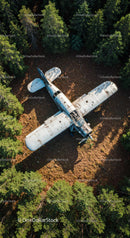 Abandoned Airplane in Green Forest Aerial View