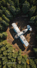 Abandoned Airplane in Dense Forest Canopy Aerial View