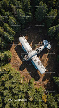 Abandoned Airplane in Dense Forest Canopy Aerial View